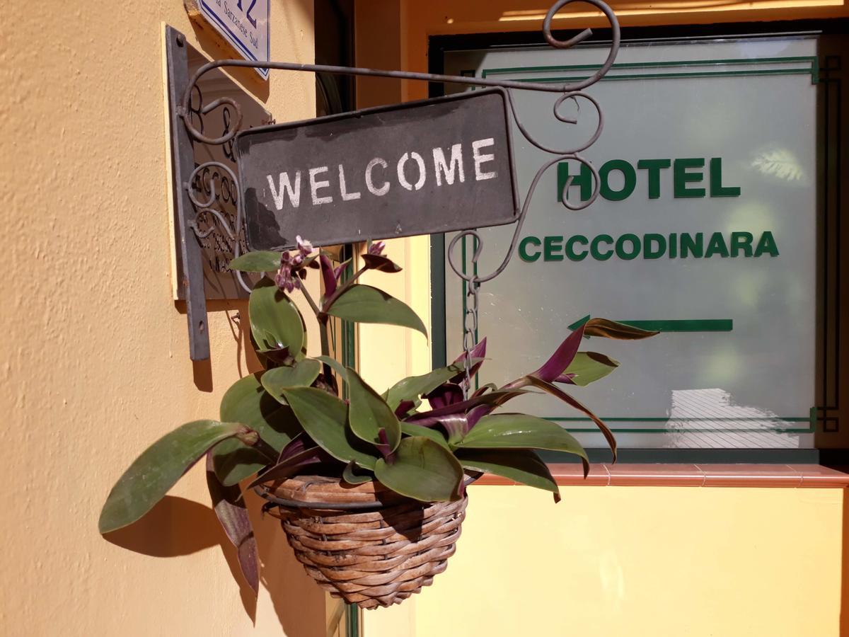 Cecco Di Nara 2* Massarosa